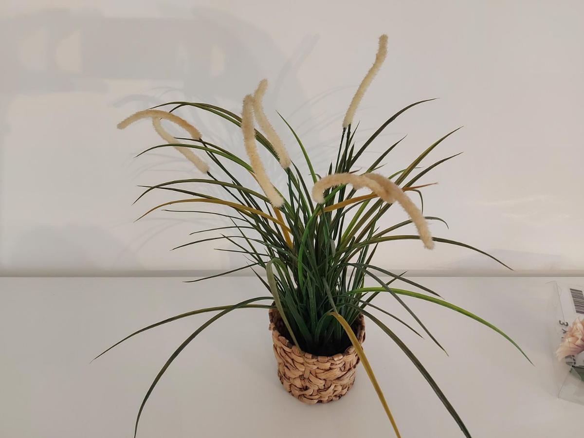Garden Apartment Кьолн Екстериор снимка